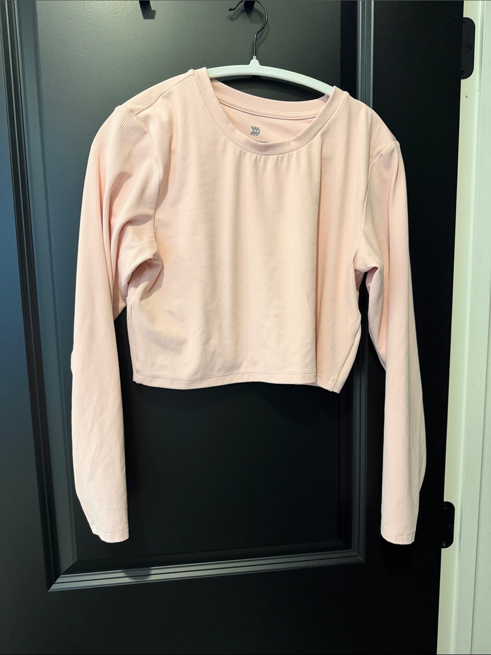 Long Sleeve Cropped Top - Light Pink